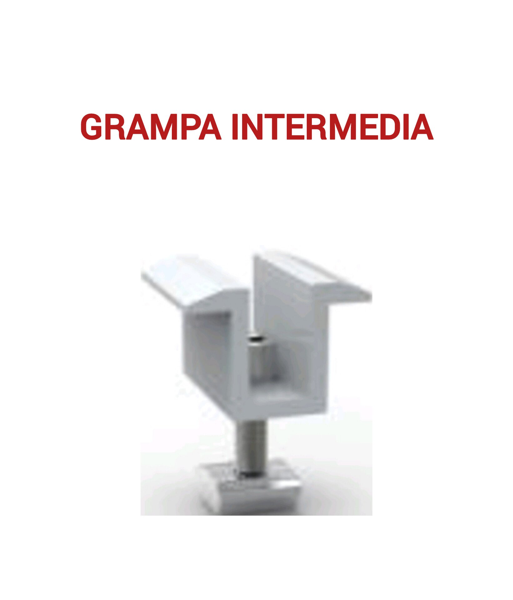 1000359715.jpg GRAMPA INTERMEDIA - Imagen 1