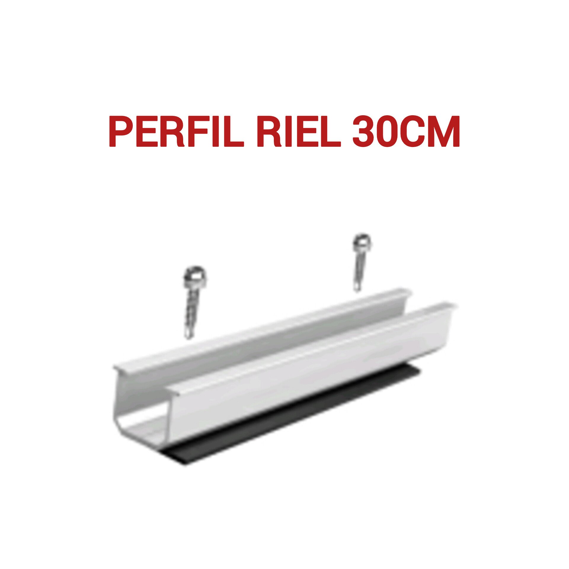 1000359718.jpg PERFIL RIEL 30CM - Imagen 1